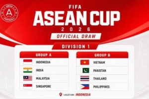 首届FIFA东南亚杯分组：印尼、马来西亚同组，越南、泰国同组